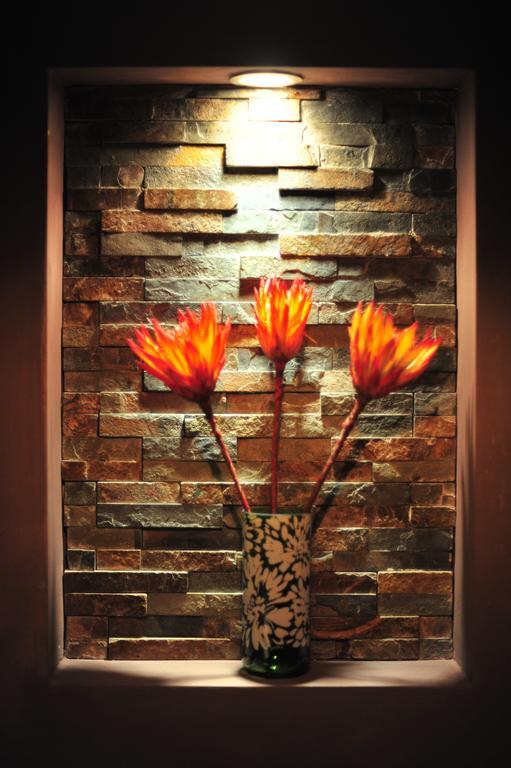 Agapanthus Bed And Breakfast Hoogkarspel ภายนอก รูปภาพ